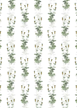 Spanish Lavender Pattern