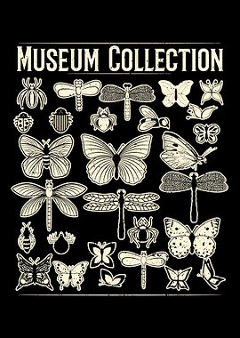 Museum Collection