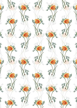 White Saffron Eschscholzia