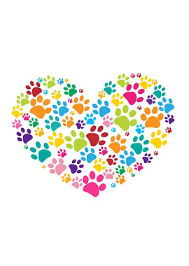 Made of heart colorful paw