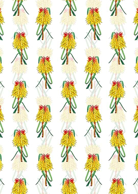 Burchells Tritoma Pattern