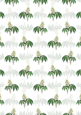 Yellow Buckeye Pattern