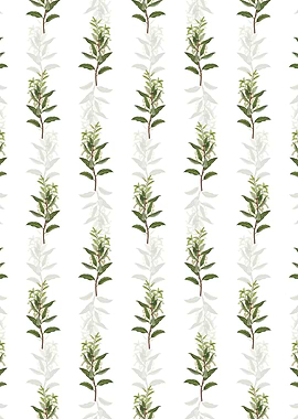 Evergreen Oak Pattern