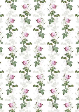 Provence Rose Pattern