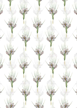 Autumn Crocus Pattern