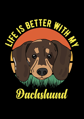 Dachshund