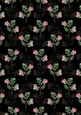 Hairy Alpenrose Pattern
