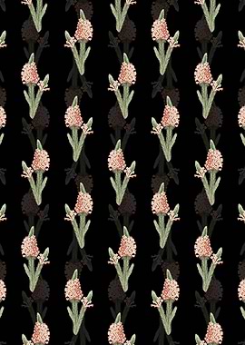 Heather Briar Root Bruyere