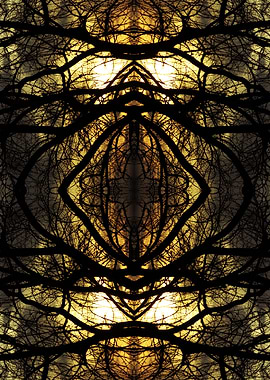 Graphic cross and trees