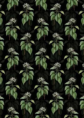 Pagoda Dogwood Pattern