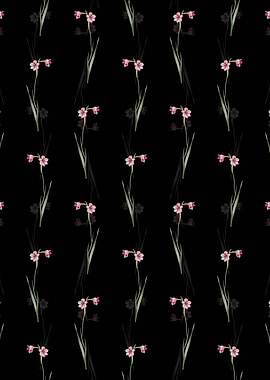 Floral Sword Lily Pattern