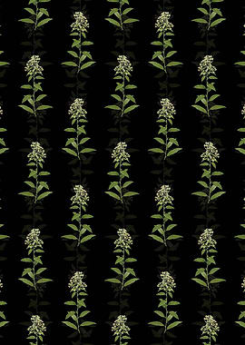 Green Cestrum Pattern