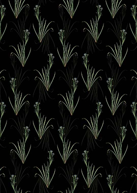 Floral Bermudiana Pattern