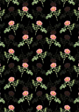 Japanese Rose Pattern