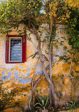 Dreamy House in Anafiotika