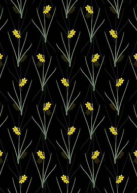 Narcissus Odorus Pattern