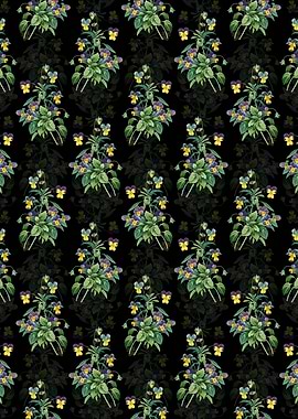 Johnny Jump Up Pattern