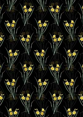 Floral Daylily Pattern