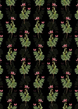 Floral Restharrows Pattern