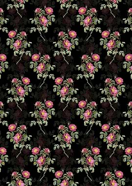 Rose of Love Bloom Pattern