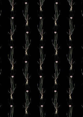 Allium Foliosum Pattern