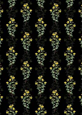 Stinking Tutsan Pattern