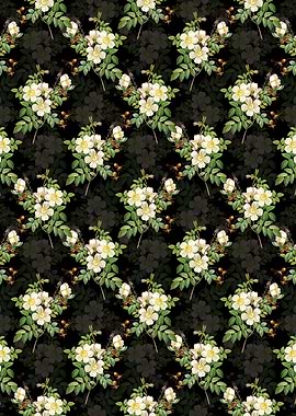 Black White Candolle Rose