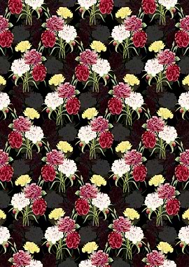 Floral Carnation Pattern