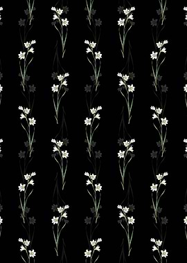 Black Painted Lady Pattern