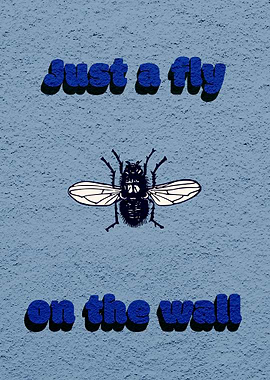 Fly on the wall