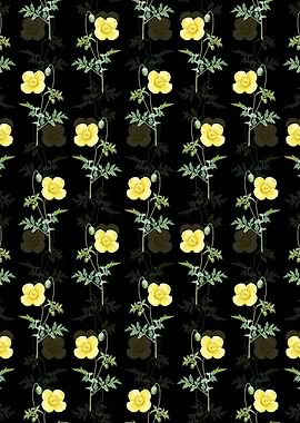 Floral Welsh Poppy Pattern