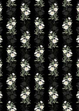 White Burnet Roses Pattern