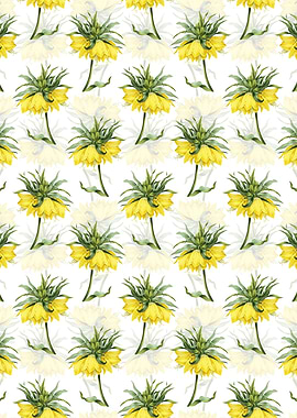 Kaisers Crown Pattern