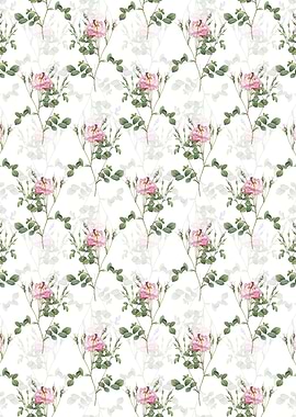 Anemone Sweetbriar Rose