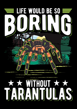 Tarantula Spider
