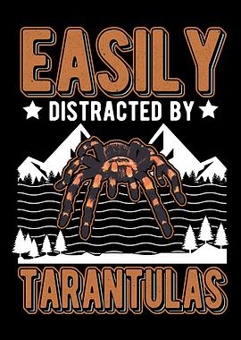 Tarantula Spider