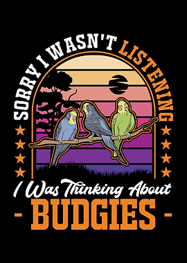 Budgie Gift Parakeet