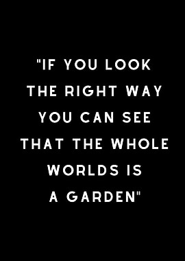 Positive Attitude Quotes