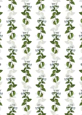 New Jersey Tea Pattern