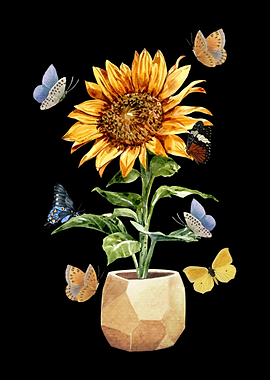 Sunflower Butterfly