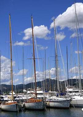 Boat Sailing Boats Ocean