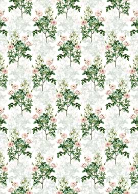 Rosier Pompon Pattern