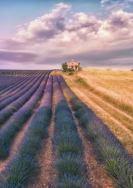 Valensole