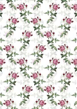 Provence Rose Pattern