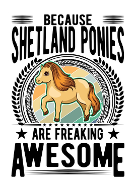 Shetland Pony Shetty