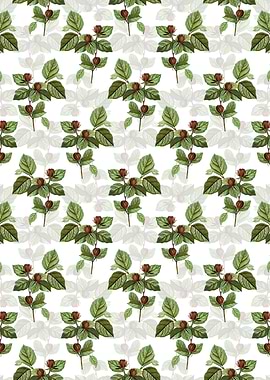 Carolina Allspice Flower