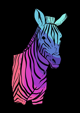 Zebra Colorful