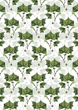 American Sycamore Pattern