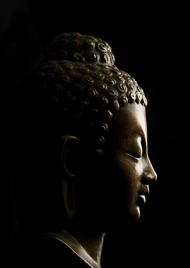 Buddha Meditation