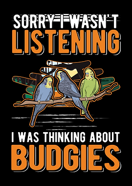 Budgie Gift Parakeet